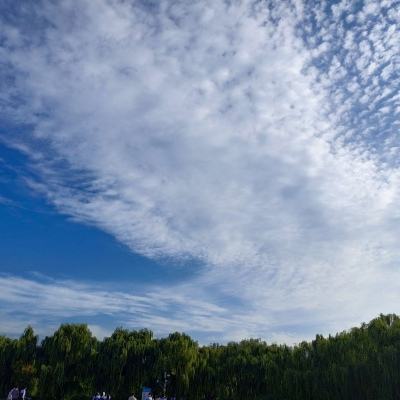 全民打棒球2Online手机版下载