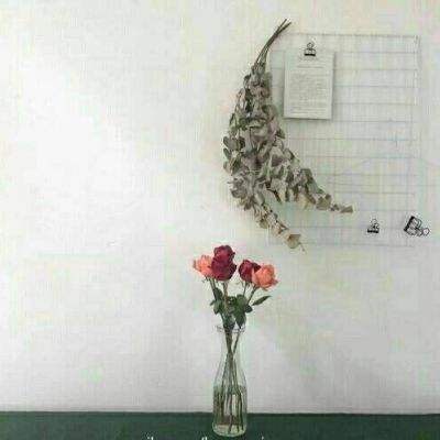 大航海世纪王者之路手游下载
